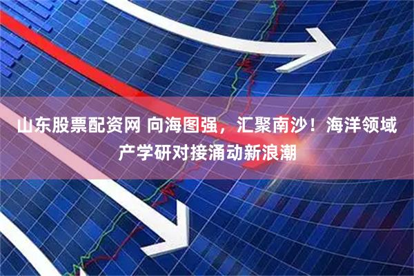 山东股票配资网 向海图强，汇聚南沙！海洋领域产学研对接涌动新浪潮